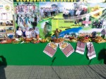 Выставка 2013 Неклиновский район