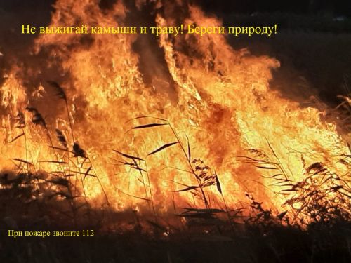 foto 19 07 2022 16 06 1