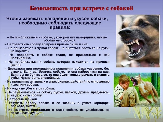 foto 19 07 2022 16 08
