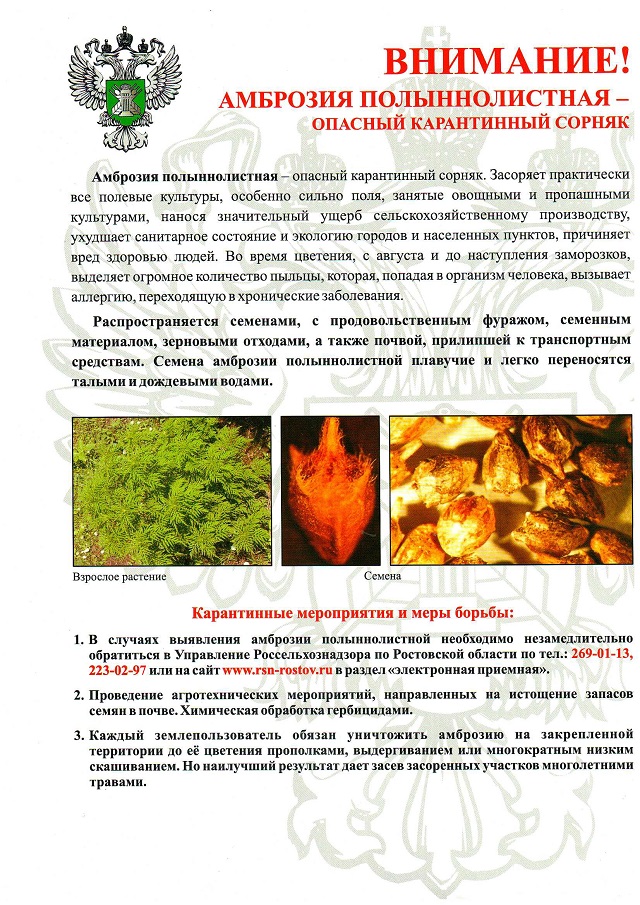 foto 01 08 2022 16 31
